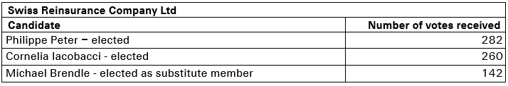 Wahlstimmen_Re_STR_Wahl_2023_EN.png